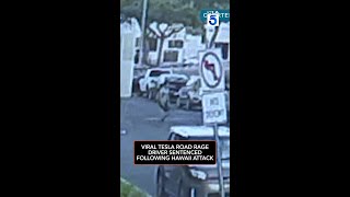 Viral Tesla road rage driver sentenced following Hawaii attack