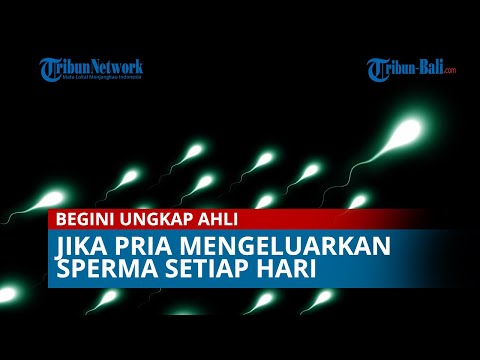 BEGINI UNGKAP AHLI JIKA PRIA MENGELUARKAN SPERMA SETIAP HARI,