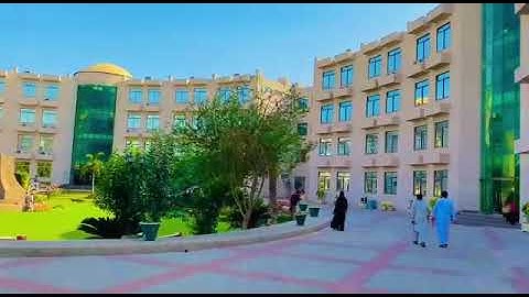 Isp multan status video