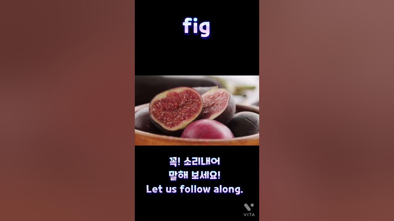 중등 영어단어) Fig N.무화과 #수능영어 #수능단어 #공무원영어단어 - Youtube