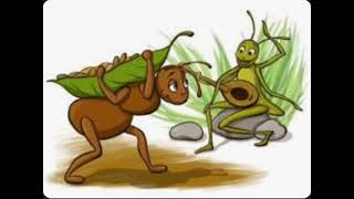 Ağustos Böceği Ile Karınca