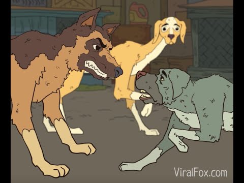Собачья любовь