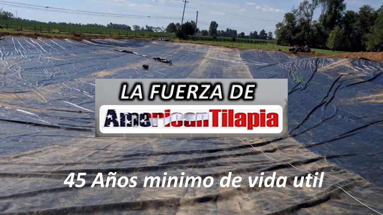 HDRPE 40 mills 45 años YouTube