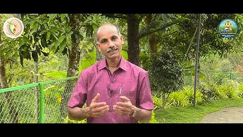 Sunday Catechism | Standard 10 | Chapter 14 | Mr. Jose Sebastian, Karimpan