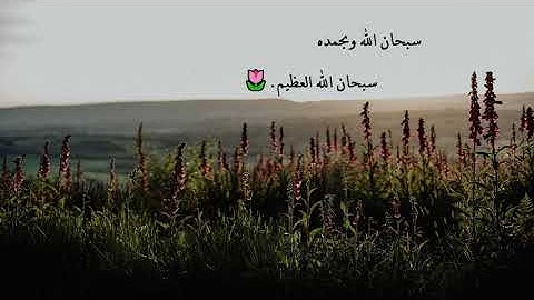 تلاوة خاشعة وجميله جدا لإمام الحرم المكي الشيخ سعود الشريم 🌷