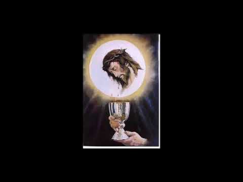 انا حي بيك ساتر ميخائيل و روماني روؤف  480