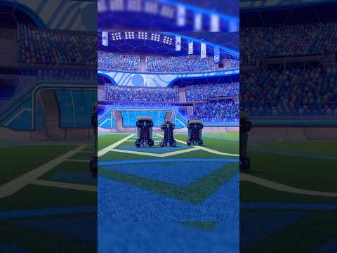 WE Hit The Sea Lion 🦭 #rocketleague