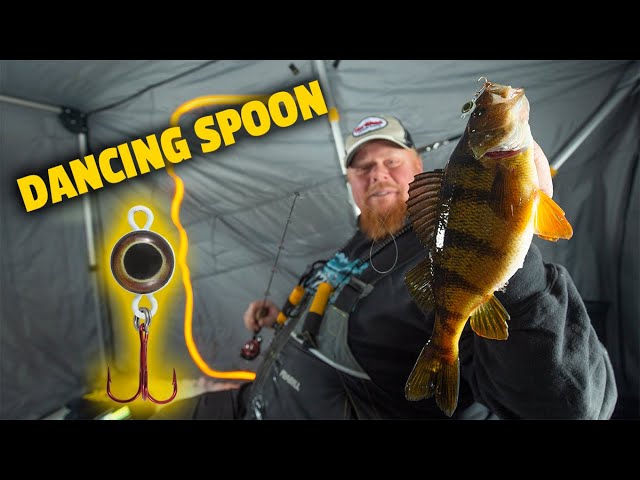 Jumbo Perch with the Eye-Ball Spoon (Why Bro Likes It) 