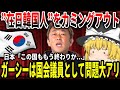 【ゆっくり解説】ガーシーが在日をカミングアウト【国会議員とは】