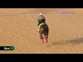 Majesto gallops 4.25