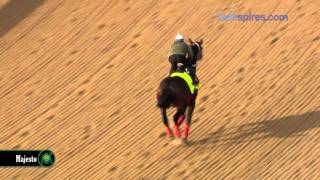 Majesto gallops 4.25