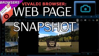 Quick Tip# 001:  Snapshot/Screenshot A Piece Of A Web Page With Vivaldi Browser screenshot 1