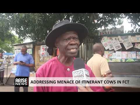 ADDRESSING MENACE OF ITINERANT COWS IN FCT