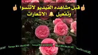 أجمل حالات واتس آب||اسعد الله مسائكم 🌳 مساء الورد||اهدا خاص للمشتركين||يامن عصيت الله يوما غافلا ||