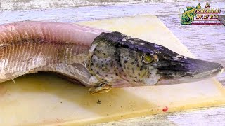 A simple way to fillet frozen pike