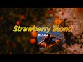 Strawberry Blond - Mitski (Lyrics)