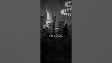 اكتب شيء تؤجر عليه 🩶😴 / القارئ فارس عباد