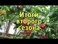 Солнечный вегетарий.  Итоги второго сезона