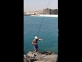 Fishing with bread - Puerto Del Rosario - Oblada Melanura (Saddled Seabream - Oblada - Occhiata)