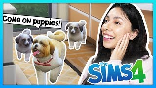 OUR DOG HAD HER PUPPIES! MEET THE NEW BABIES!  The Sims 4  My Life  Ep 14