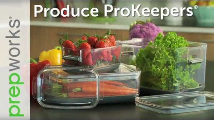 OXO Greensaver Produce Keeper & Carbon Refill Set with David Venable 