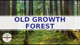 OLD-GROWTH FOREST - Earth Science Worksheet Video