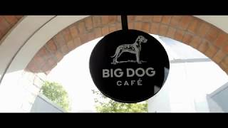 Big Dog Café has a New Logo
