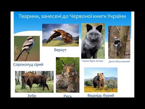 Чому потрібно охороняти рослини і тварин