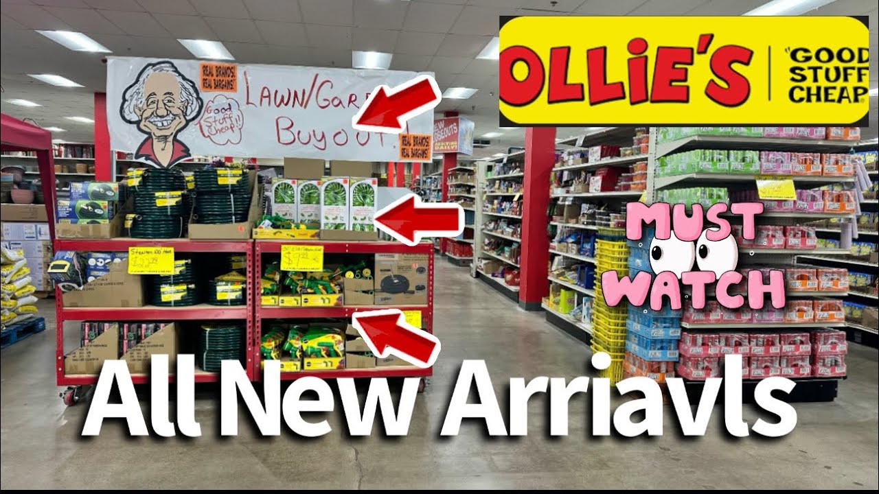 Ollie's Good Stuff Cheap Near Me Where Is Ollie S Good Stuff Cheap Store at Cooper Meares blog