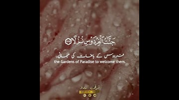 💜كانت لهم جنات الفردوس نزلا💜 سورة الكهف:١٠٧,١٠٨|أحمد خضر|Surah al Kahf:107,108|Ahmed Khedr