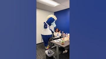 Blue pies one of his staff