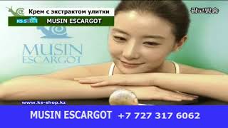 MUSIN ESCARGOT(KS SHOP TV)
