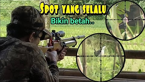 BERBURU // RUAK RUAK TEKUKUR DI SPOT YANG SELALU BIKIN BETAH #REN HUNTER