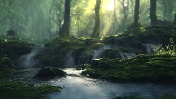 Surah Saba Be Heaven Omar Hisham سورة سبأ عمر هشام العربي