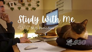 3hrs Study With Me [30/5 Pomodoro] FOCUSED LoFi Beats - #30