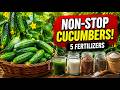 The Secret to Non Stop Cucumbers: 5 Fertilizers You Need to Know for a Huge Harvest!