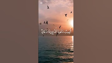 احترم القران الكريم لو دقيقه واحده