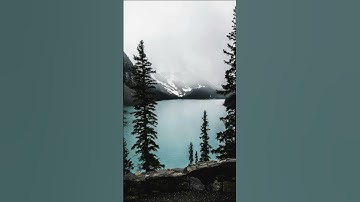 سورة مريم #القرآن_الكريم