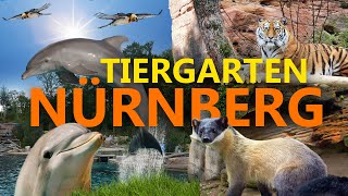 Tiergarten Nürnberg | Zoo Eindruck