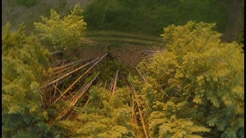 #OnePack #OneTree | Betaflight 4.1 RC3 BiDirectional Dshot | 2019  - #16 of 52