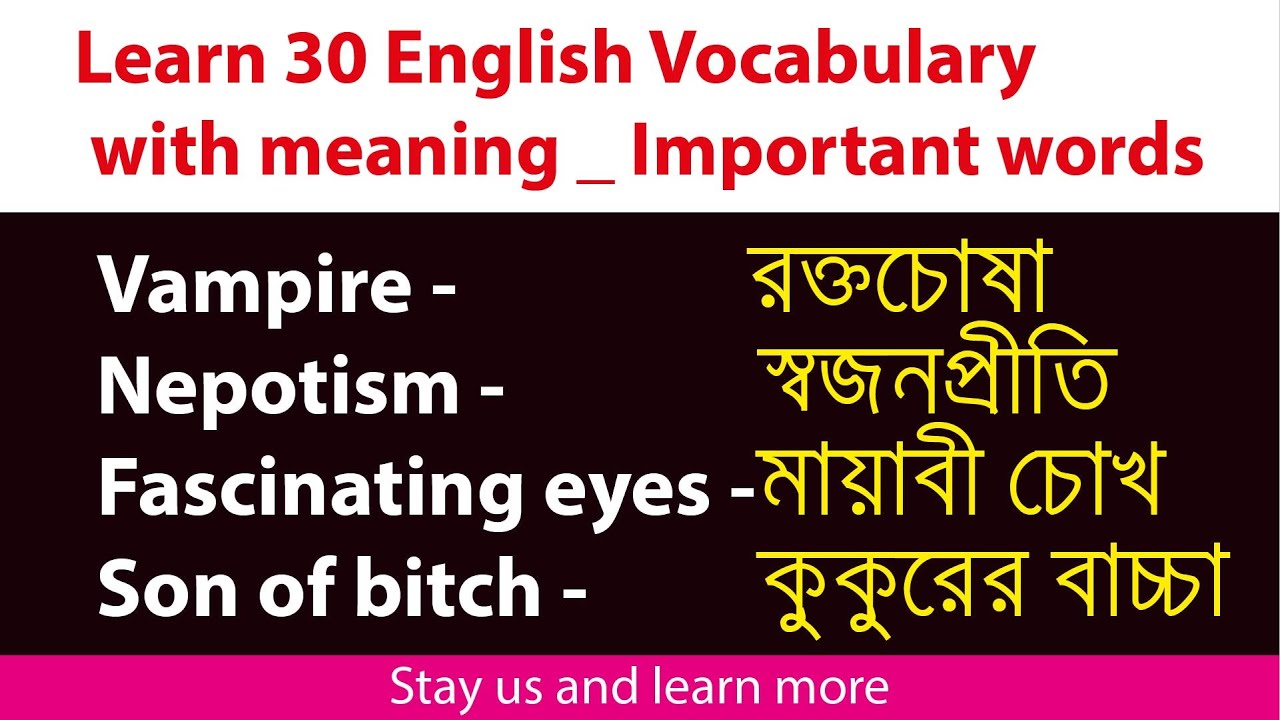 Learn, 30 English Vocabulary with meaning । Important words । Useful ...