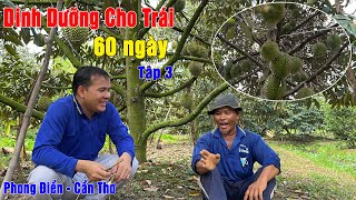 TẬP 3 - CÁCH ANH KHÁ DINH DƯỠNG TRÁI 60 NGÀY