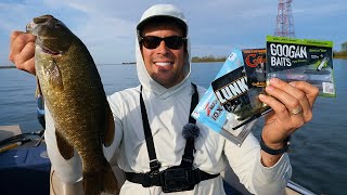 100 BASS IN ONE DAY! How to Catch TONS of River Smallmouth Bass!