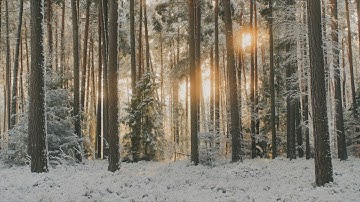 EXPLORE | a cinematic GH5 video | filmed in 6K