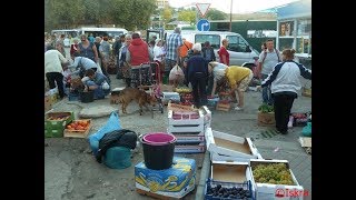 Крым. В Севастополе избавляются от Крым. В Севастополе избавляются от