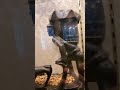 喫茶店にて謎の置物　#shorts