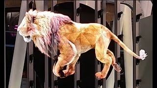 Hypergram Hologram In The Uk