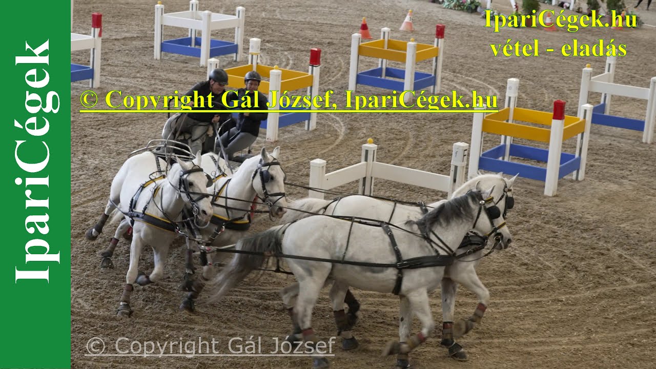 Fedeles négyesfogatok 2. forduló, Fedeles Döntő, Szilvásvárad, 4K, sv4K230402-H4-2f-230419