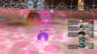 ［DQX］魔犬レオパルド、ソロサポ攻略（自天地、扇踊り子2、鎌デス）