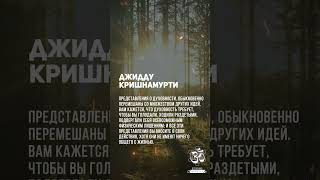Отбросьте всякое поклонение личностям. Истина сокрыта в вас самих. Джидду Кришнамурти #shorts